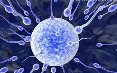 云浮市生孩子做染色体检查有必要吗，筛查一次大概需要多少钱？