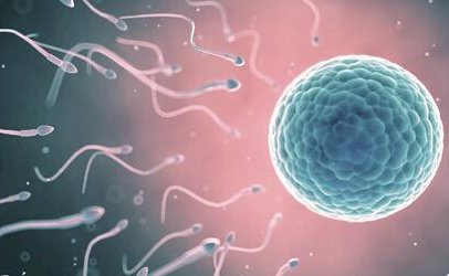 赴美试管婴儿：失独的家庭的详细步骤指南