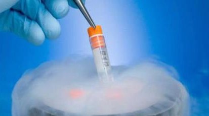 女性有染色体罗氏易位在邓州市做试管养囊成功率高吗？试管移植后需要保胎吗！